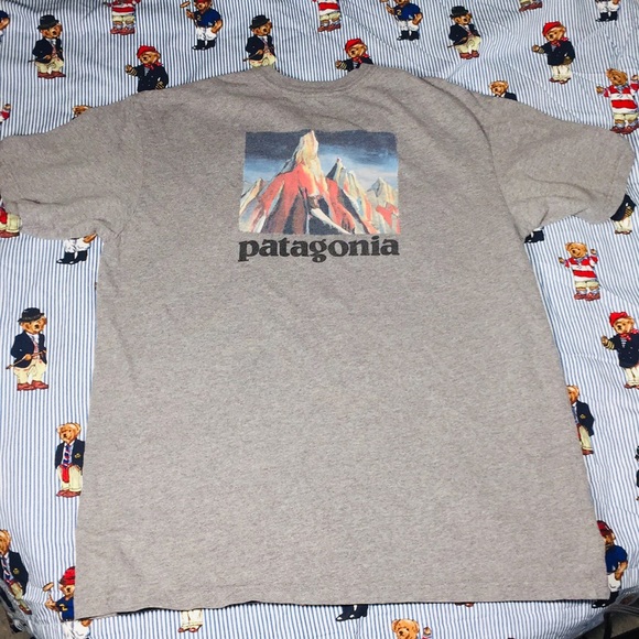 Patagonia Other - Patagonia T Shirt Men Sz L